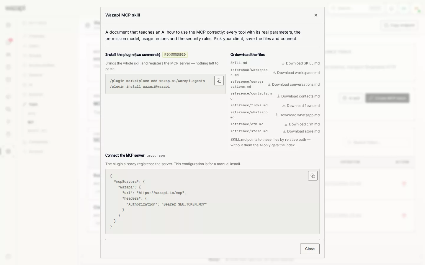 MCP connection window with the plugin, the instruction files and the server configuration