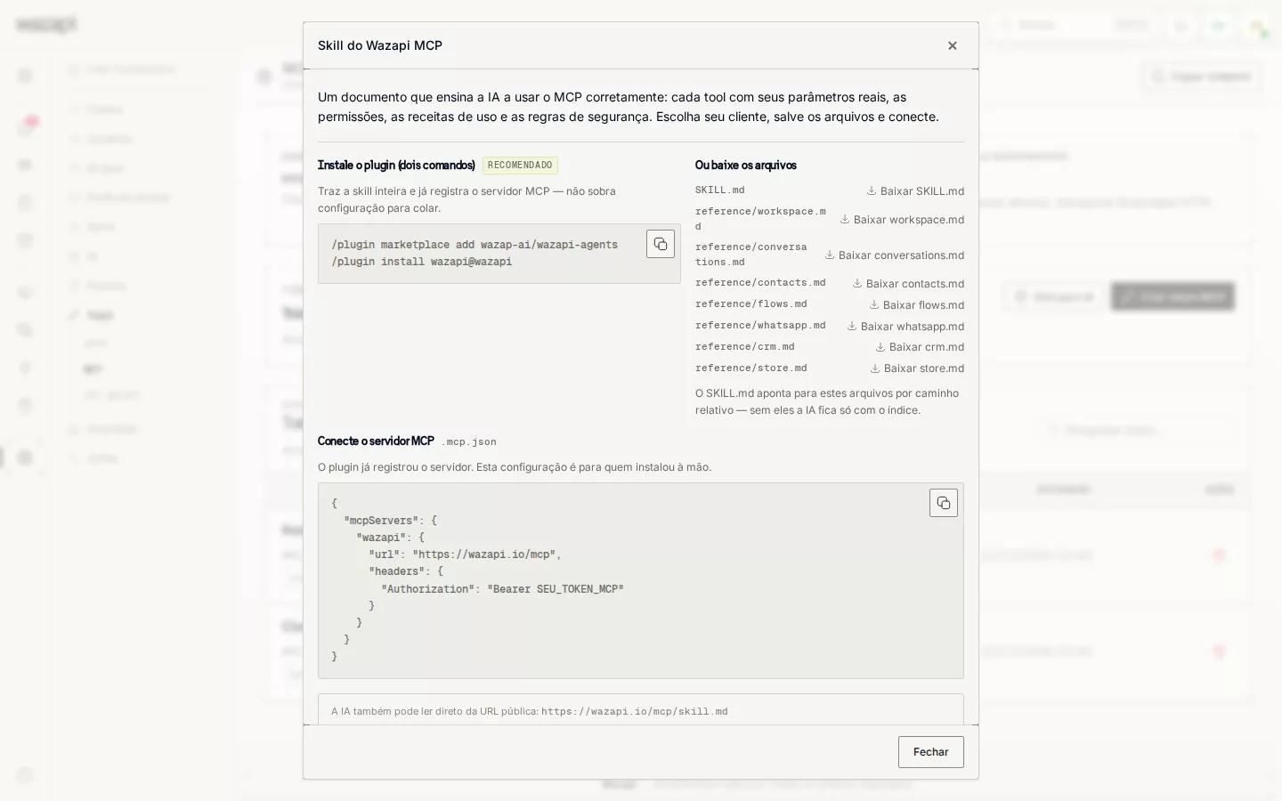 Janela de conexão do MCP com o plugin, os arquivos de instruções e a configuração do servidor